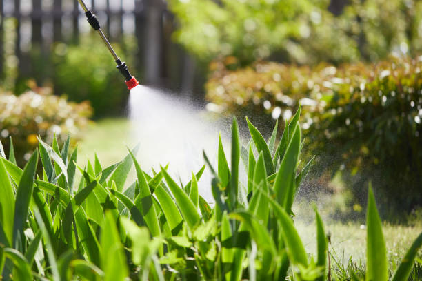 24/7 Emergency Mosquito Control experts in Whitehouse, TX